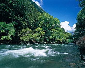 《黎明杀机》8月6日公布联动《恶魔城》细节